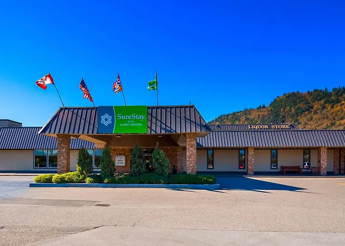 3 star hotel: Best Western Premier Ashton Suites - Willowbrook